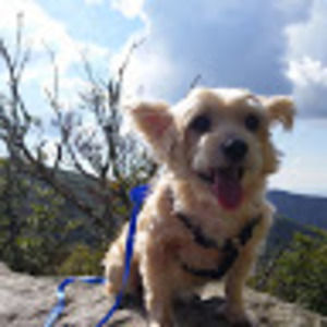 Meet your Posher, Gloria